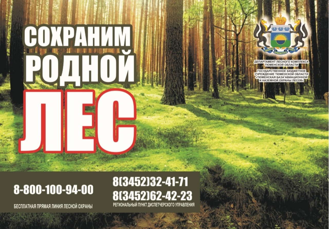 берегите лес. сохраним родной. берегите родную природу. плакат по охране природы. плакат на экологическую тему.