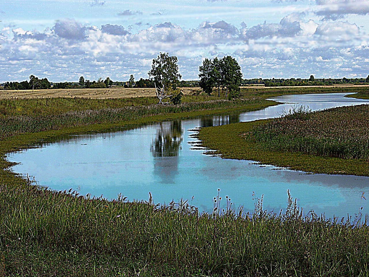 Фото с викулово