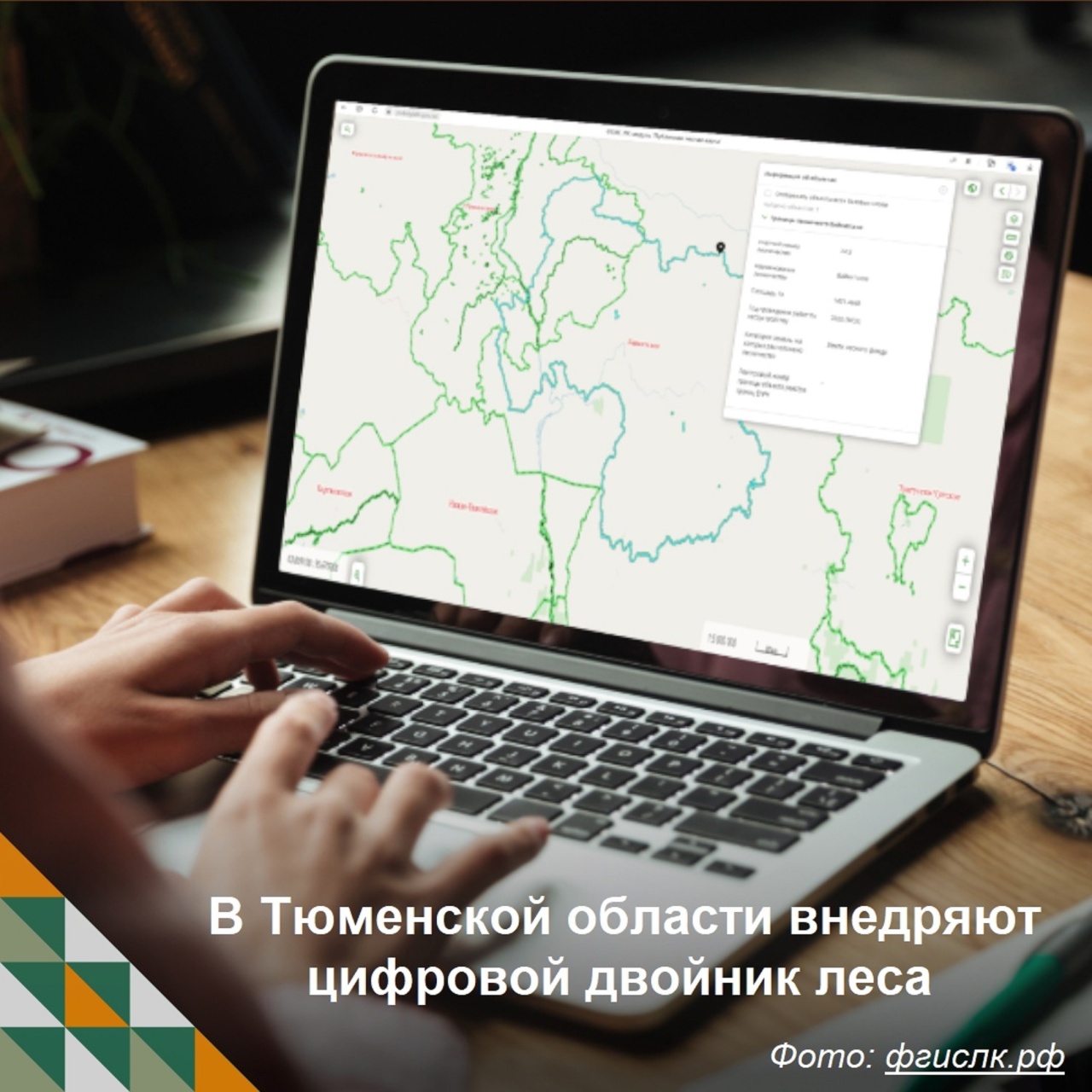 Департамент лесного комплекса Тюменской области внедряет цифровой двойник  леса - федеральную государственную информационную систему лесного комплекса  (ФГИС ЛК). - Викулово72.ру. Новости Викуловского района