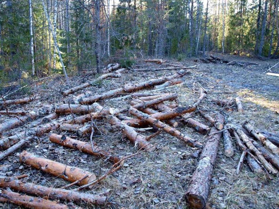 Нерациональное природопользование картинки