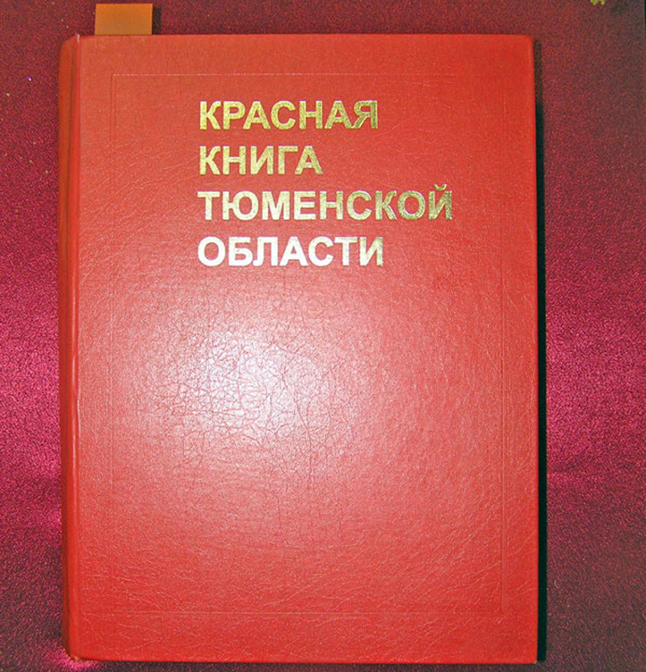 Красная книга тюменской области растения с картинками